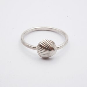 shell ring no. 1