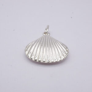 Shell charm no.4
